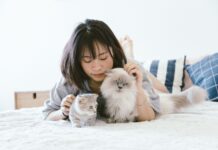 ¿Es saludable dormir con tu mascota? Descubre lo que dice la ciencia