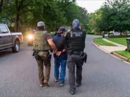 Crisis en Tampa Bay: Aumento de Detenciones de ICE Impacta a Familias Inmigrantes