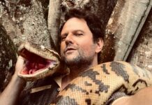 Selton Mello: Del cine brasileño a Hollywood, un viaje lleno de pasión y talento