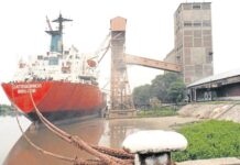 Exportaciones Argentinas Crecen un 14% en Julio y Superávit Acumulado Suma US$16.080 Millones
