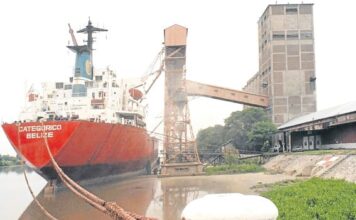 Exportaciones Argentinas Crecen un 14% en Julio y Superávit Acumulado Suma US$16.080 Millones