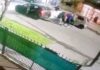 Enfrentamiento mortal: tres ladrones abatidos tras intento de robo a policías