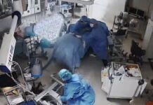 Impresionante respuesta de médicos en Japón durante un terremoto de casi 7 puntos
