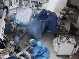 Impresionante respuesta de médicos en Japón durante un terremoto de casi 7 puntos