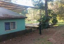 Tragedia en una escuela: Adolescente de 13 años pierde la vida por electrocución