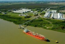 Crisis en los Puertos Argentinos: La Paralización del Comercio Exterior Aumenta la Preocupación