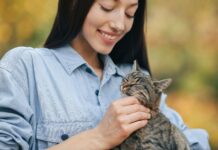 ¿Por qué los gatos eligen a su persona favorita? Un veterinario lo explica