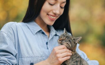 ¿Por qué los gatos eligen a su persona favorita? Un veterinario lo explica