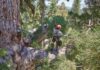 Descubren una familia de ardillas en el icónico Grizzly Giant de Yosemite