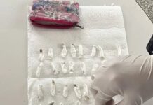 Detienen a madre tras hallazgo de cocaína en el jardín de su hijo