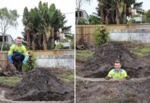 Descubren una piscina enterrada en su nueva casa: La sorprendente historia de un joven australiano