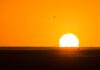 Récord de Temperaturas Oceánicas: Un Llamado de Atención sobre el Cambio Climático