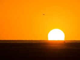 Récord de Temperaturas Oceánicas: Un Llamado de Atención sobre el Cambio Climático