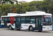 El futuro del transporte público: ¿La tecnología a GNC salvará a los colectivos en crisis?