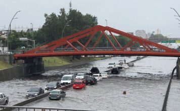 La historia de Luis: Un héroe anónimo en medio de la tormenta