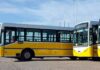 Paro Nacional de Colectivos: UTA Confirma Medida de Fuerza para Este Viernes