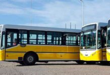 Paro Nacional de Colectivos: UTA Confirma Medida de Fuerza para Este Viernes
