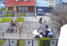 Violento robo en Mar del Plata: motochorros golpean a mujer y son detenidos