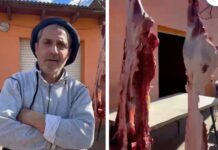 Polémica por Denuncias de Venta Clandestina de Carne en Coronel Pringles