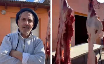 Polémica por Denuncias de Venta Clandestina de Carne en Coronel Pringles