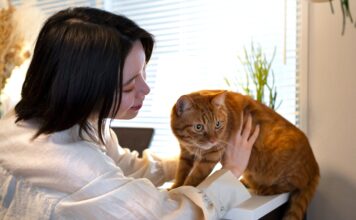 Gatos y perros: ¿Por qué la comparación es un error común?