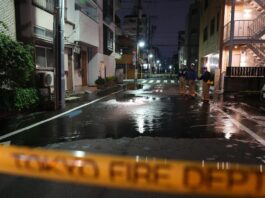 Terremoto de 5,9 grados sacude Japón y deja decenas de heridos