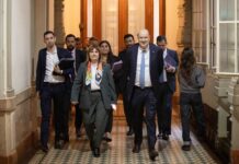 El Senado Reactiva el Proyecto de Modernización de Sociedades: Innovaciones y Controversias