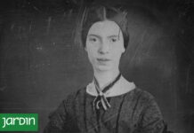 El Herbario de Emily Dickinson: Un Tesoro Botánico Accesible Tras 180 Años