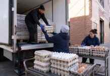 Casi cinco millones de huevos gratis para familias de Nueva York: ¿Cómo acceder a ellos?