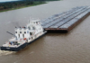 Reforma del Cabotaje: Clave para Potenciar el Transporte Fluvial en Argentina