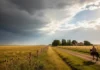 Clima Fresco y Estable en Buenos Aires: Pronóstico del Tiempo para Hoy
