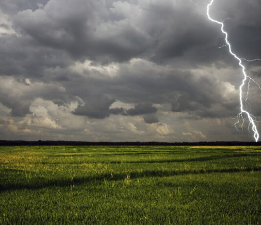 El Niño amenaza con ser el más intenso de la historia: alertas para el agro y la economía en América Latina