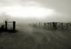 La Tormenta de Santa Rosa se asoma con un panorama frío y escasas lluvias