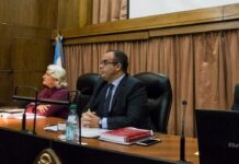 Bertuzzi y Yadarola ante el Senado: Claves para el Futuro Judicial