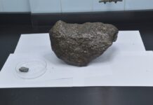 Un Meteorito de 4.600 Millones de Años: El Hallazgo Inesperado de un Buscador de Oro