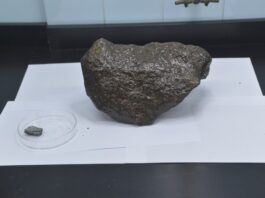 Un Meteorito de 4.600 Millones de Años: El Hallazgo Inesperado de un Buscador de Oro