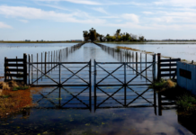 El Niño: Un Fenómeno Climático que Amenaza la Estabilidad Económica de América Latina