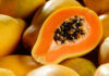 Descubre la Papaya: Propiedades, Cultivo y Beneficios en Argentina