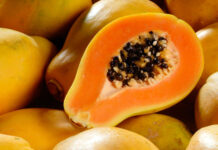 Descubre la Papaya: Propiedades, Cultivo y Beneficios en Argentina