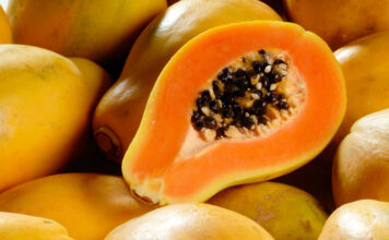 Descubre la Papaya: Propiedades, Cultivo y Beneficios en Argentina