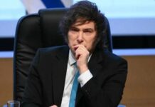 Milei: El Campo, Pilar Fundamental de la Estrategia Económica