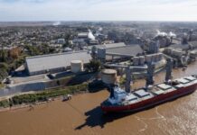 Crisis en los Puertos Argentinos: Cada Hora Perdida Aumenta las Pérdidas Millonarias