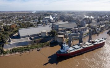 Crisis en los Puertos Argentinos: Cada Hora Perdida Aumenta las Pérdidas Millonarias