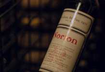 Bodega Norton en la mira: Directivos imputados por una supuesta estafa de $1.000 millones