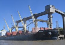 Acuerdo que Reactiva la Agroexportación: Fin del Paro en Puertos Argentinos