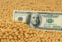El Agro se Prepara para un Segundo Semestre Prometedor en Ingresos