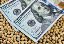 El Estado espera recaudar U$S 4.600 millones en retenciones agropecuarias en 2026