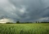 ¿Qué esperar del clima hoy? Lluvias moderadas impactan la agricultura