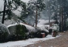 Nevadas en Córdoba: El frío invernal sorprende a los habitantes a días de la primavera