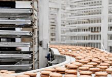 De Dulzuras a Gigante Alimenticio: La Historia del Alfajor que Conquistó el Mundo